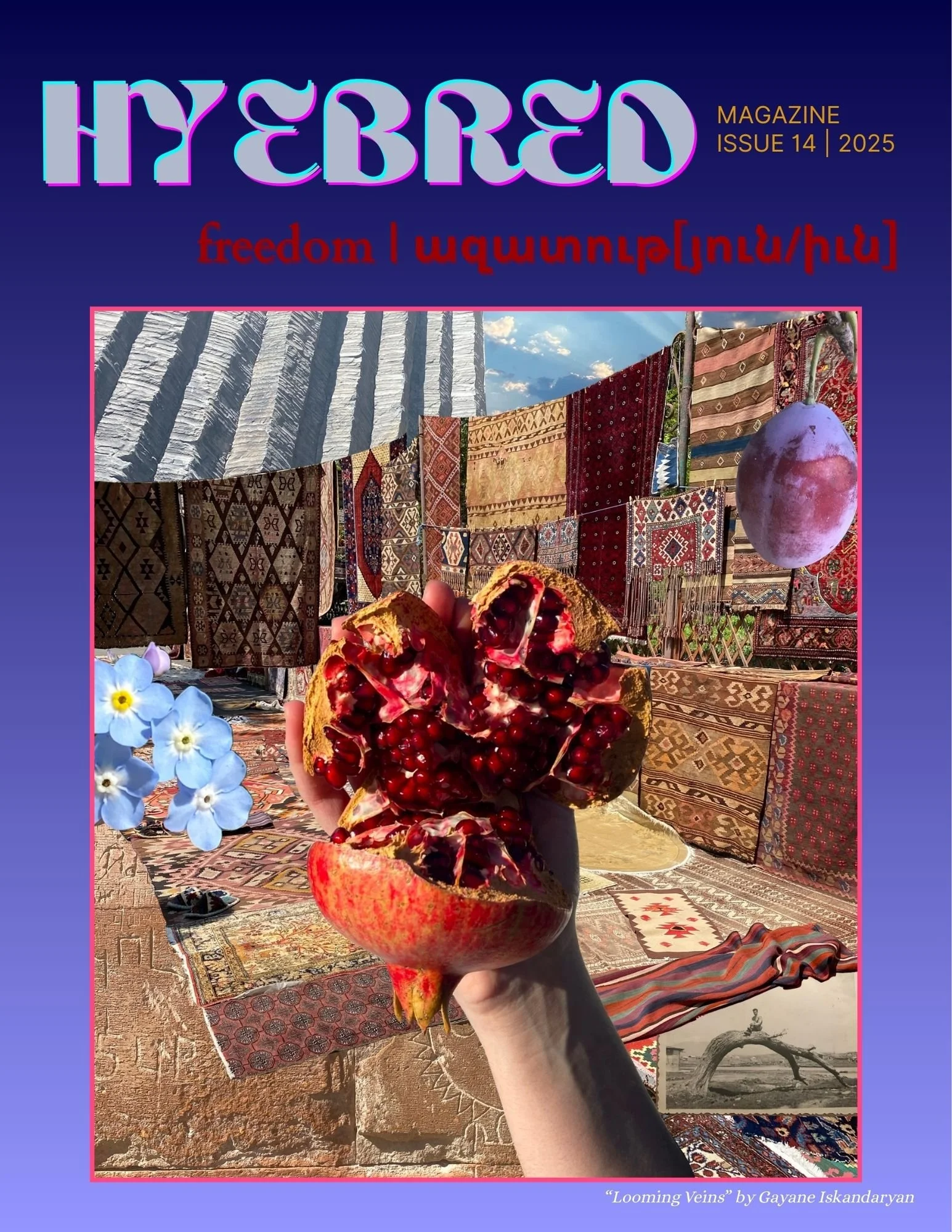 issue 14 cover