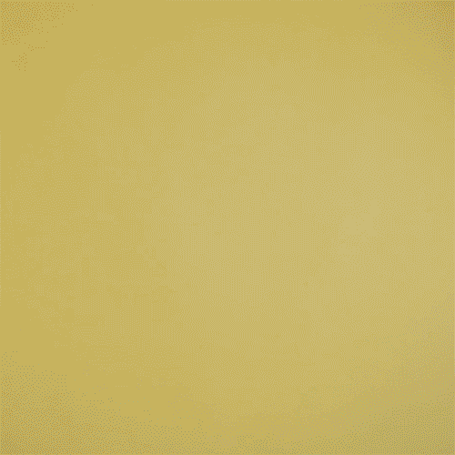 Coexplore.gif