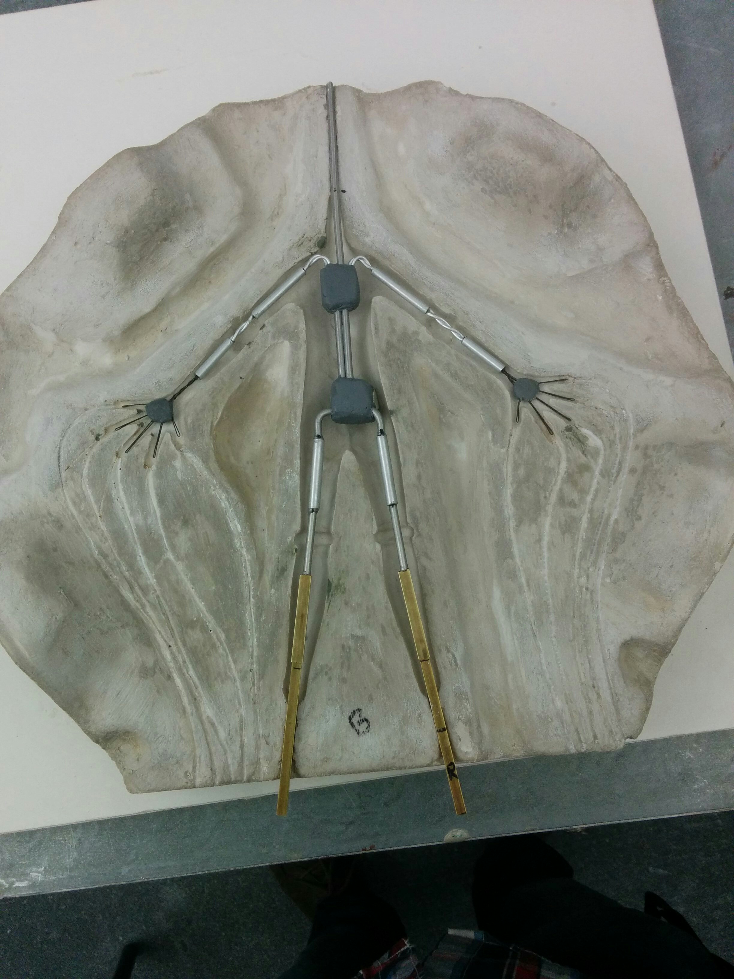 Final armature fitting inside the mold