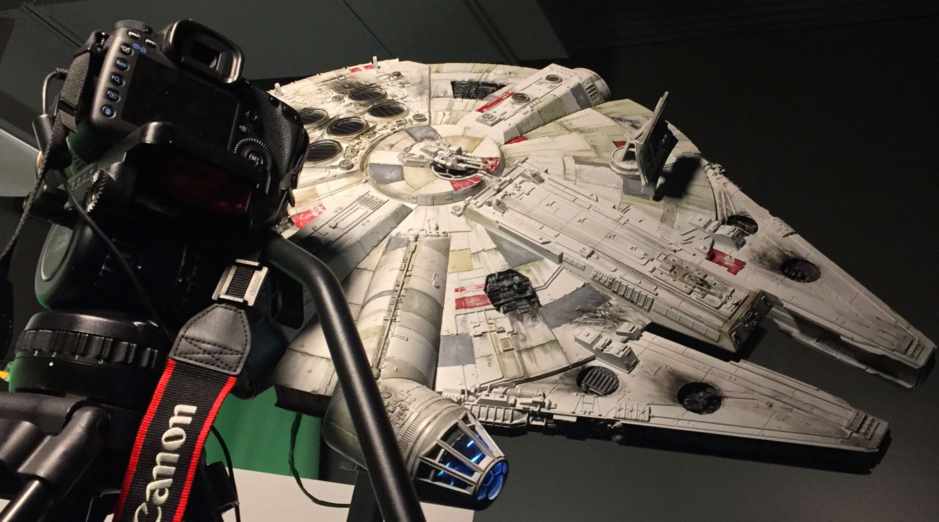 Falcon image during animation.