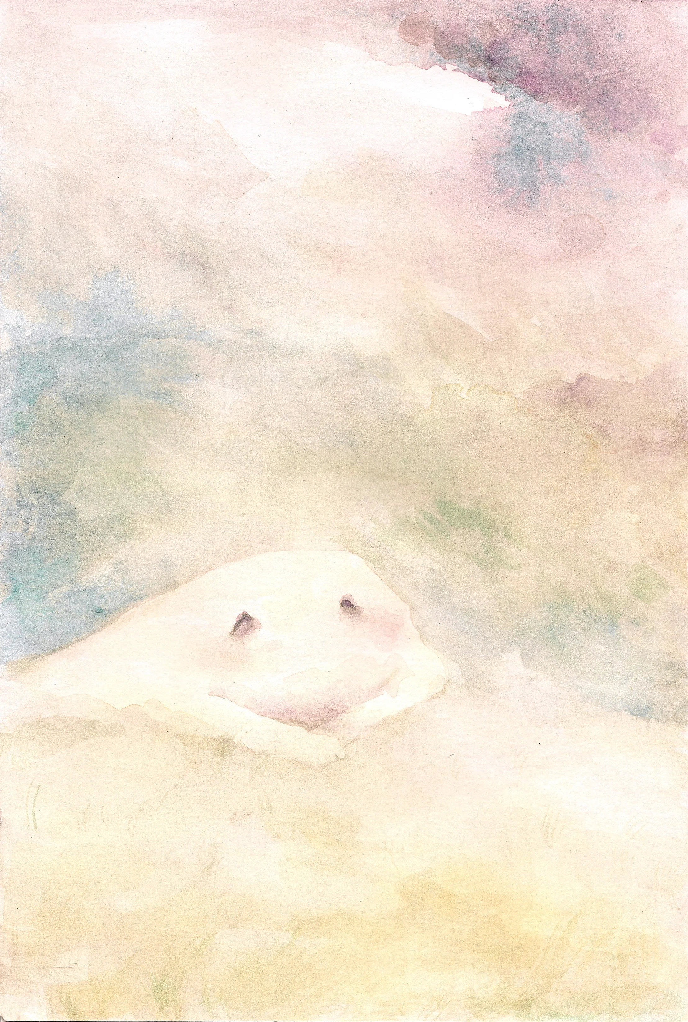 luminous pudding.jpg