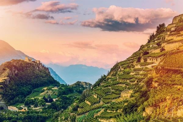 swiss-wine_valais_2000x1333.jpg