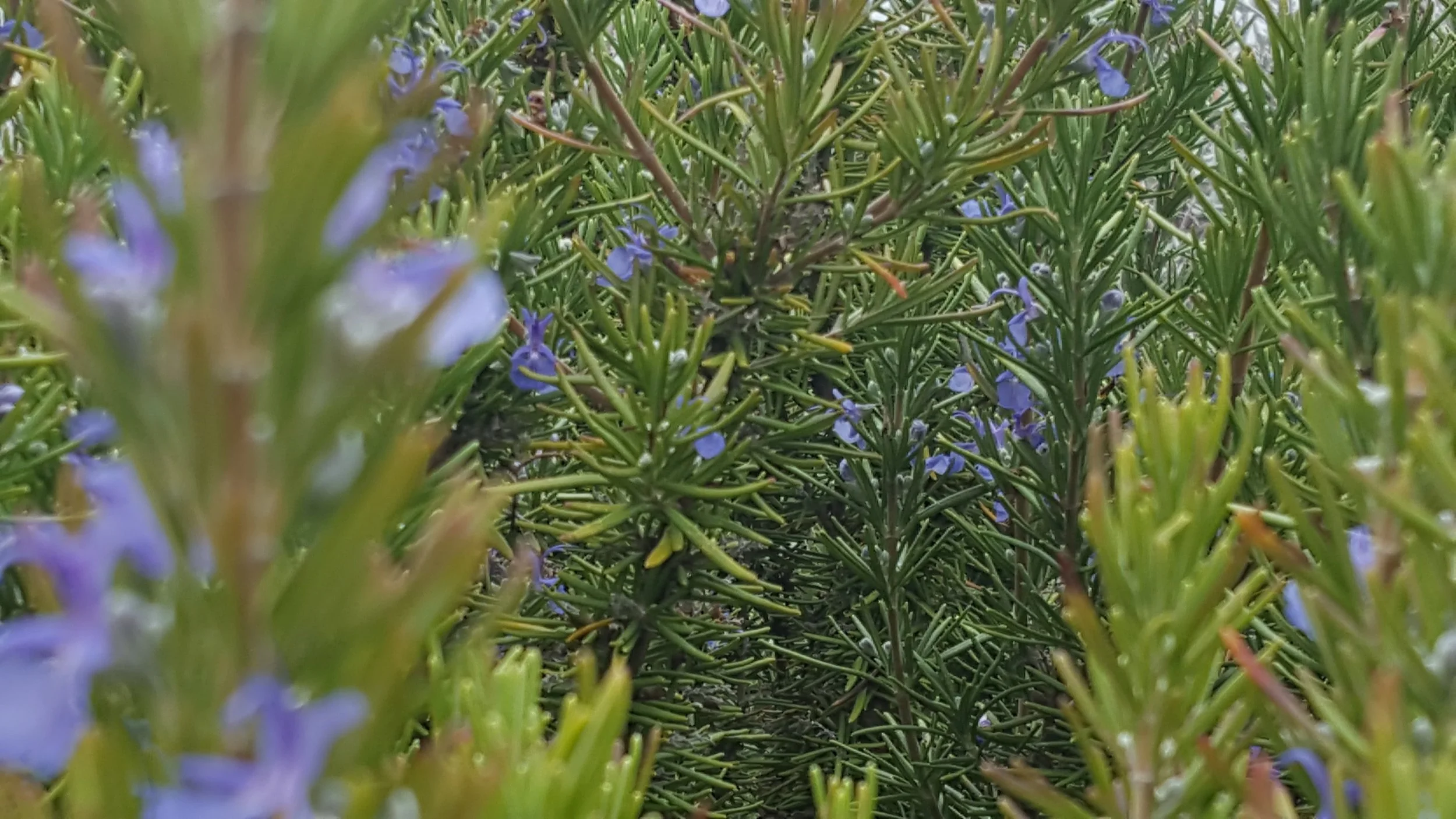 20160910_144855.jpg