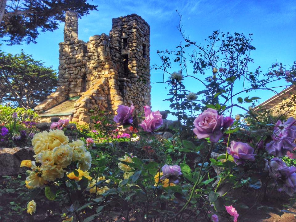 hawk tower through roses.jpg