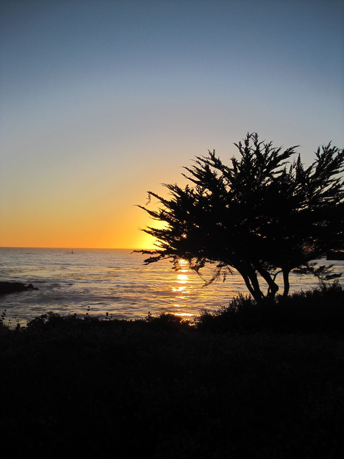 sunset carmel bay.jpg