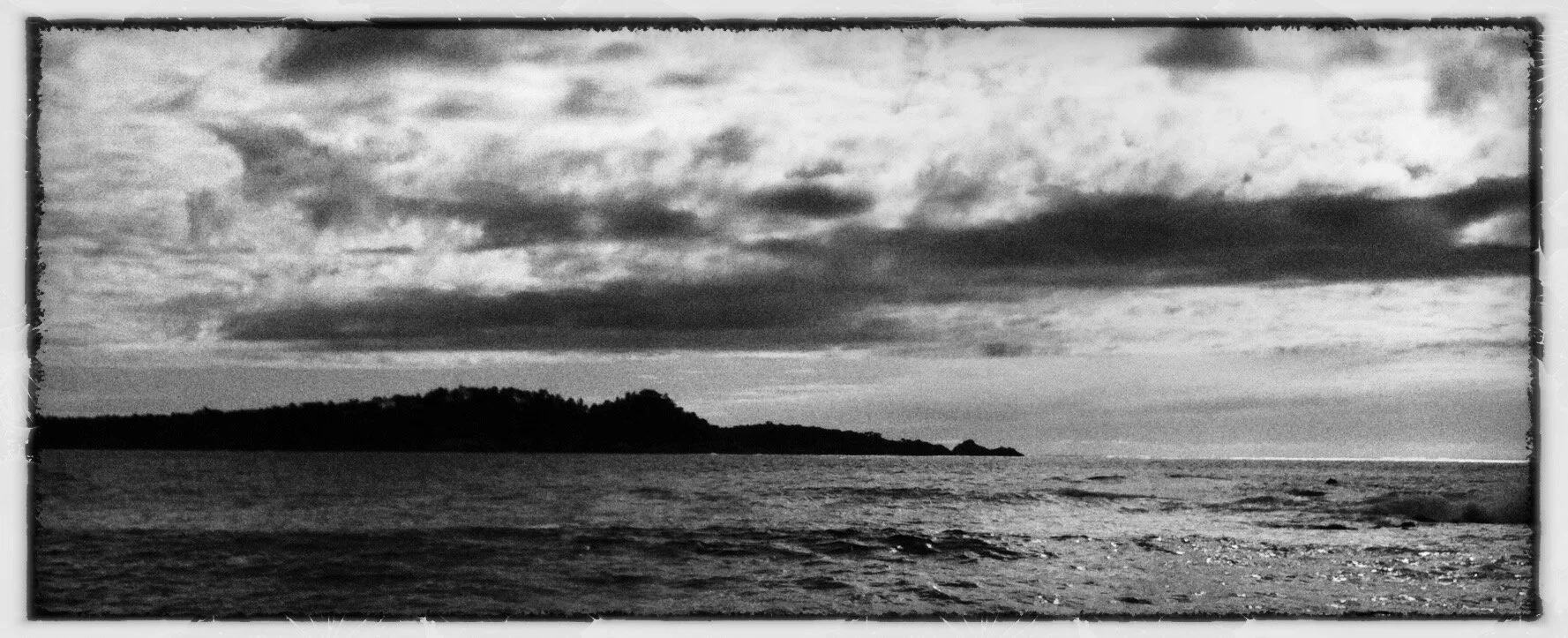 Eagle for Robinson Jeffers