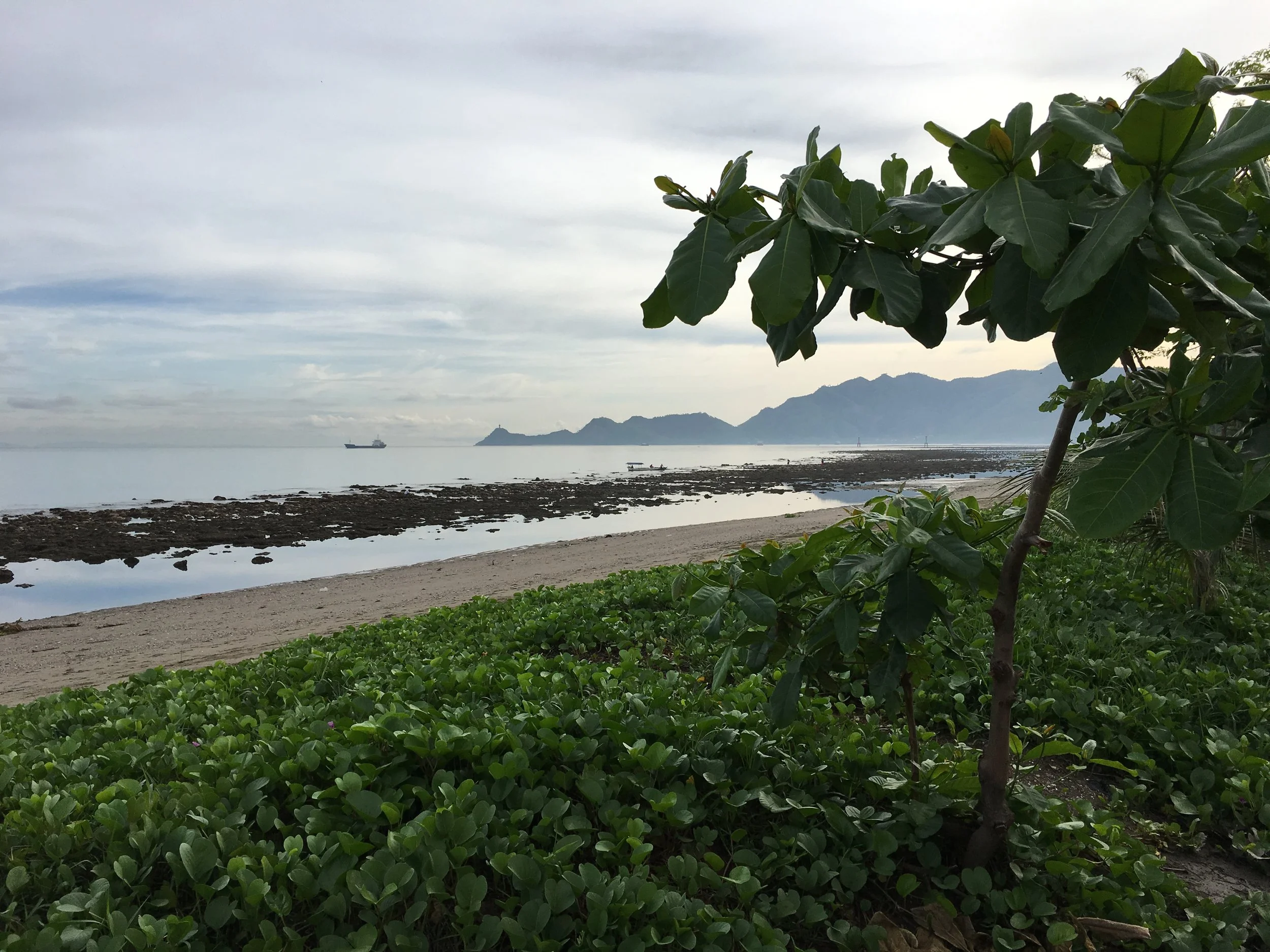 Bairo Pite Clinic 6 .JPG