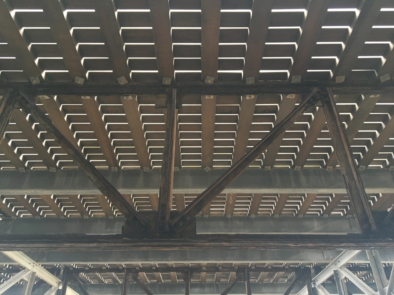 IMG_0553.jpeg