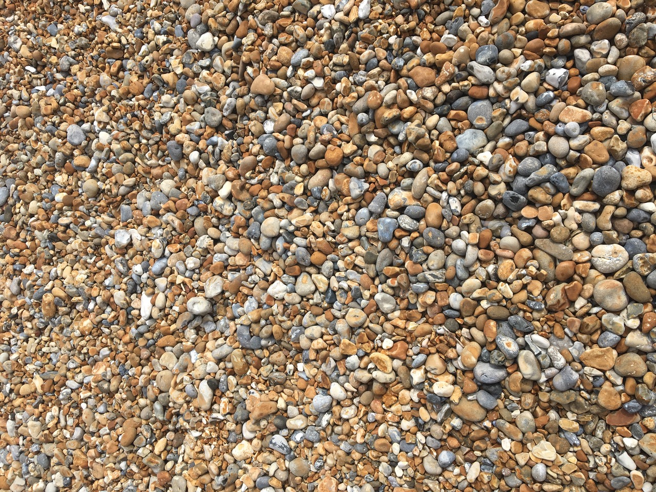 IMG_0538.jpeg