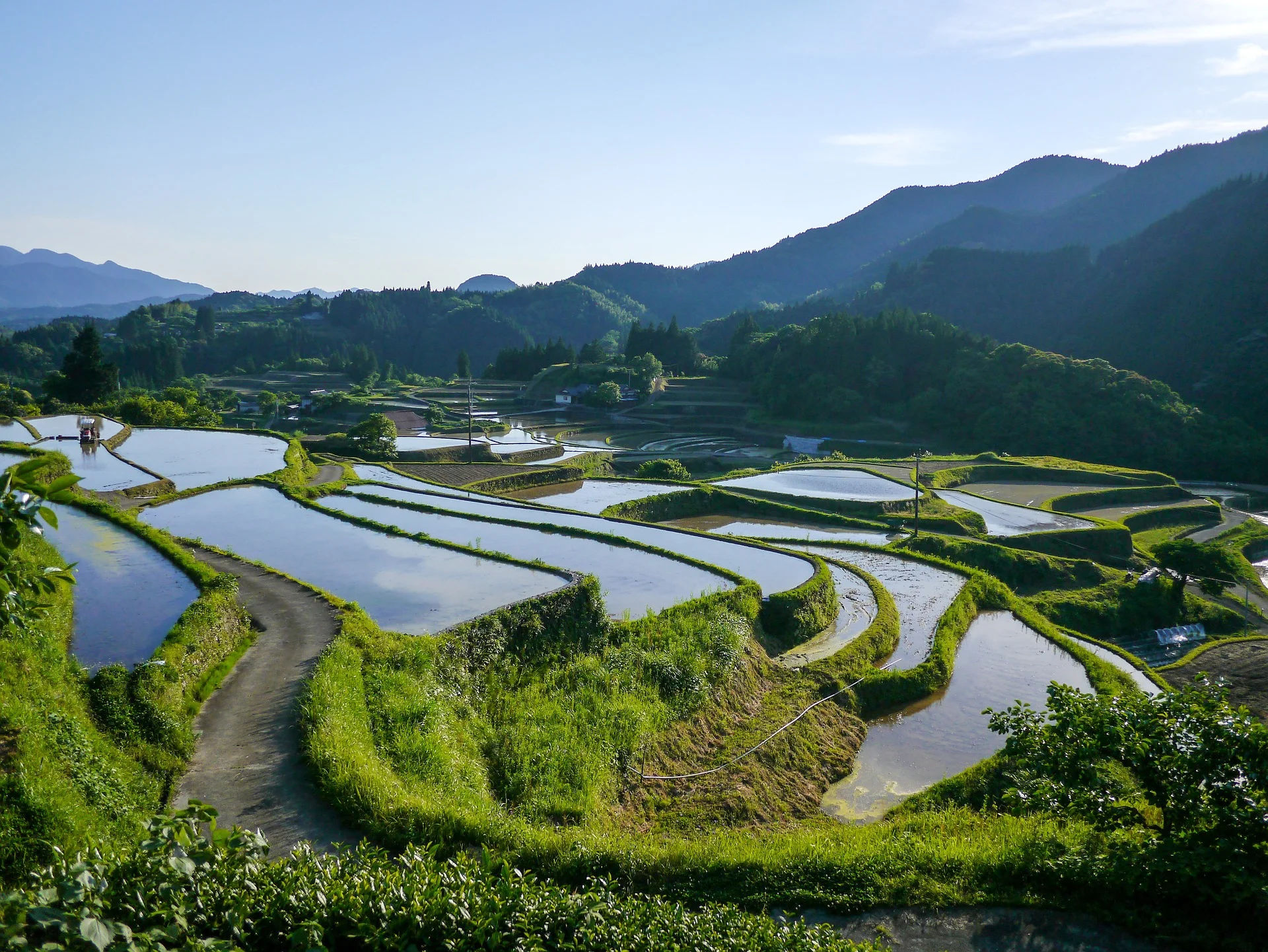 kumamoto rice terrace