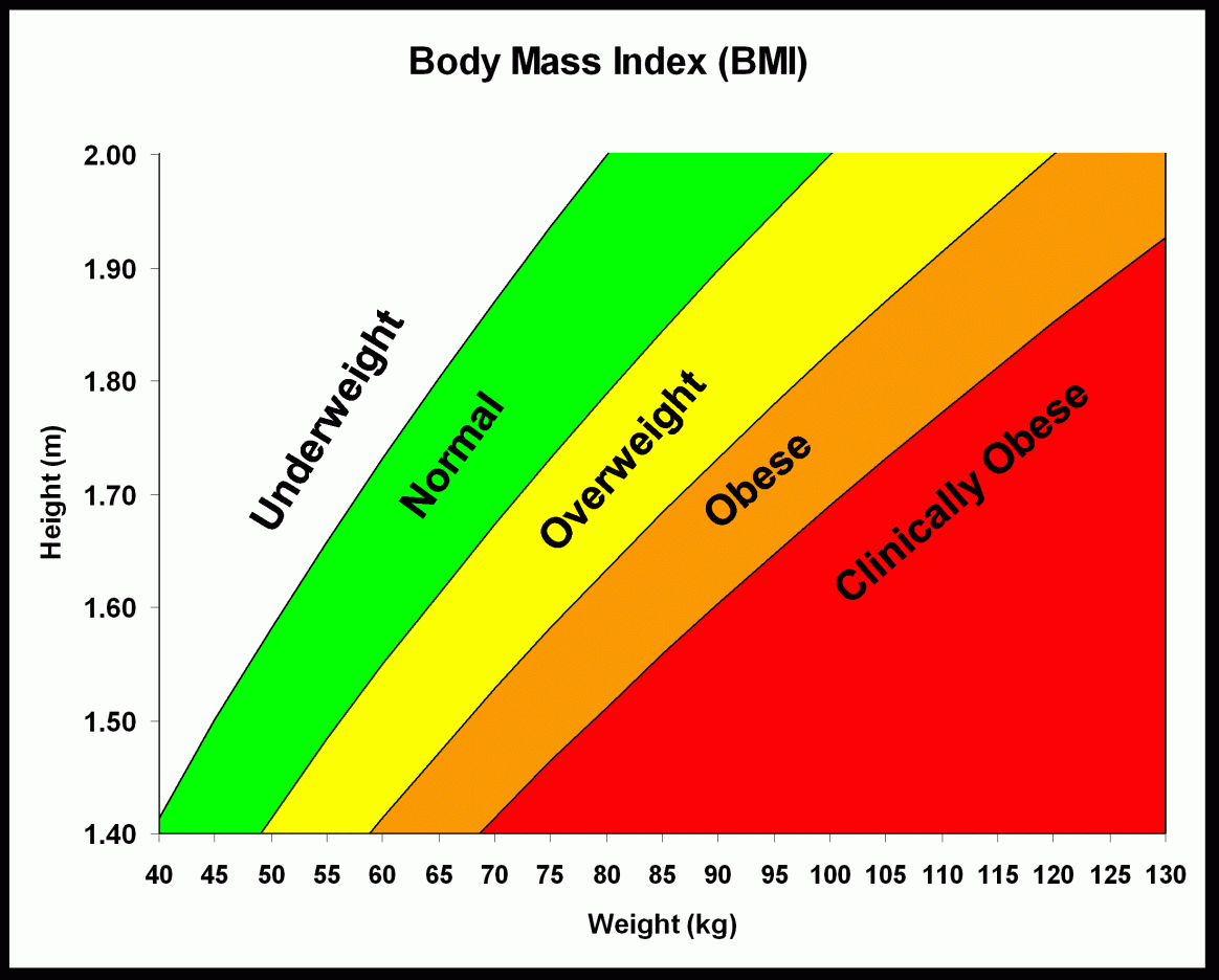 bmi.gif