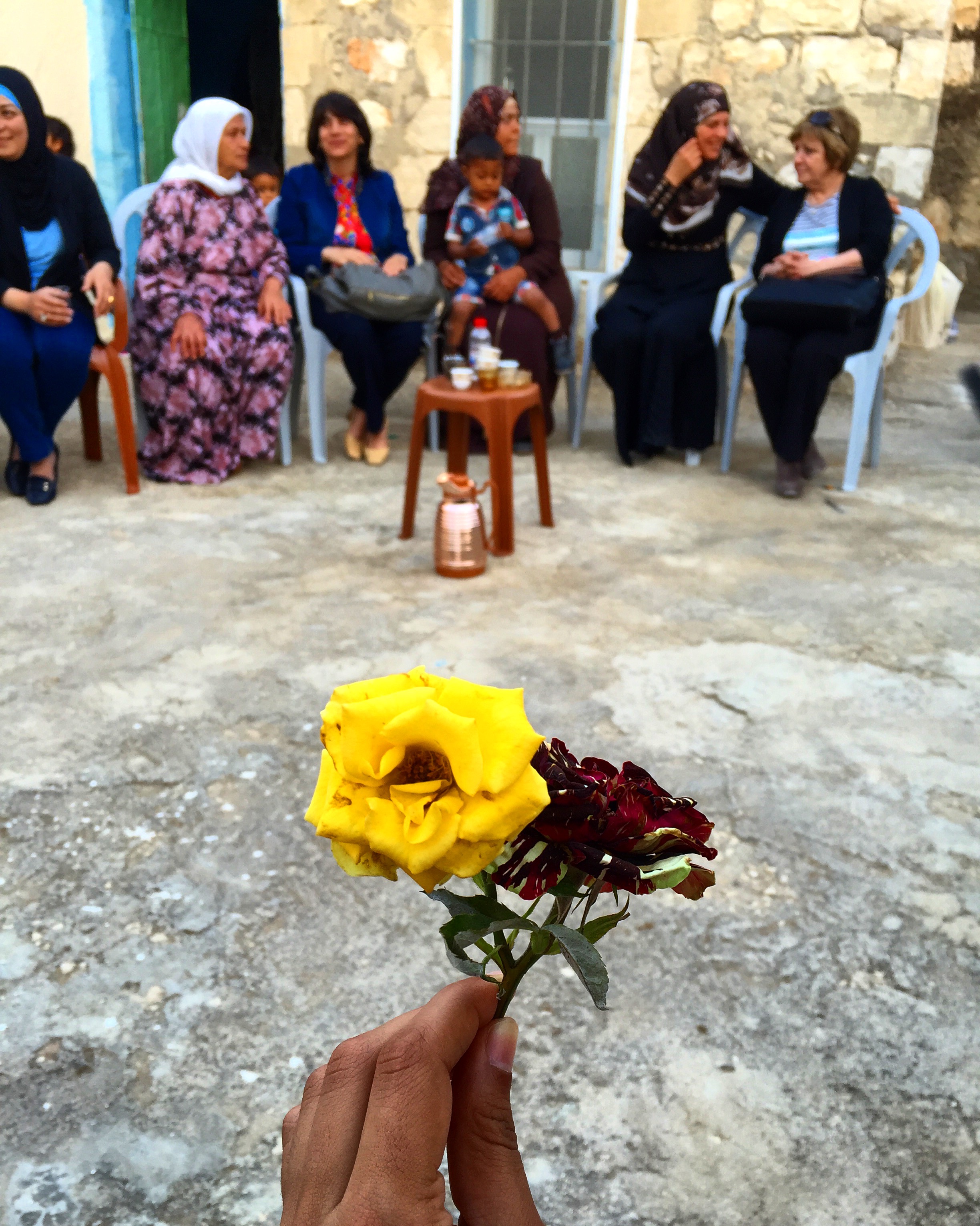 KFAR RAI | Two different color flowers grown from the same stem, a gift from Kfar Rai, a small village close to Jenin. April 26, 2016. 