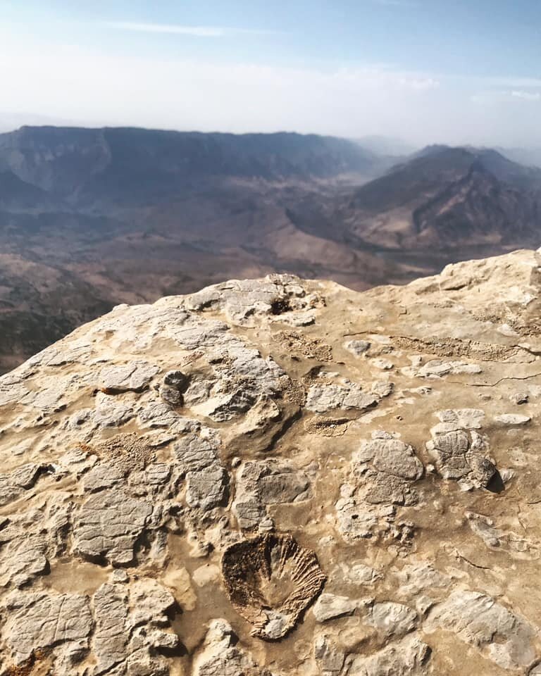  BRADOST | Marine fossils atop Bradost Mountain. Oct. 12, 2019.  