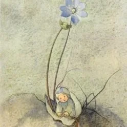 Leberblumen-Kind - Kopie.jpg