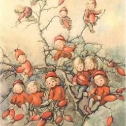 Hagebuttenstrauch - Kopie (2).jpg