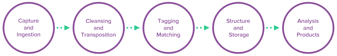 methodology copy.png