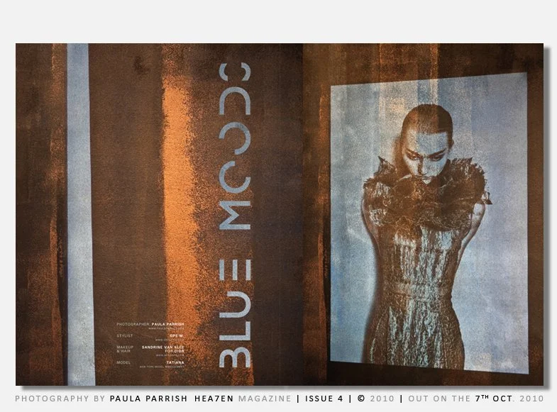 HEA7EN MAGAZINE - PLUTOCRACY DRESS.jpg