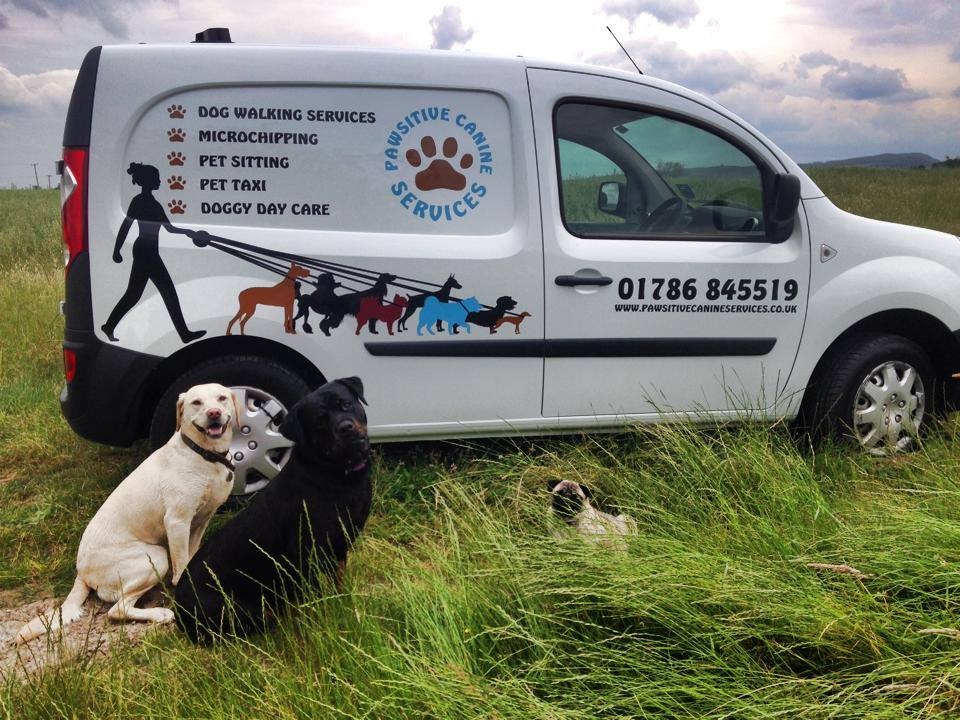 Pawsitive Services | Dog Walkers | Central Scotland | Microchipping | Doggy Daycare | Petsitting | Pet Taxi