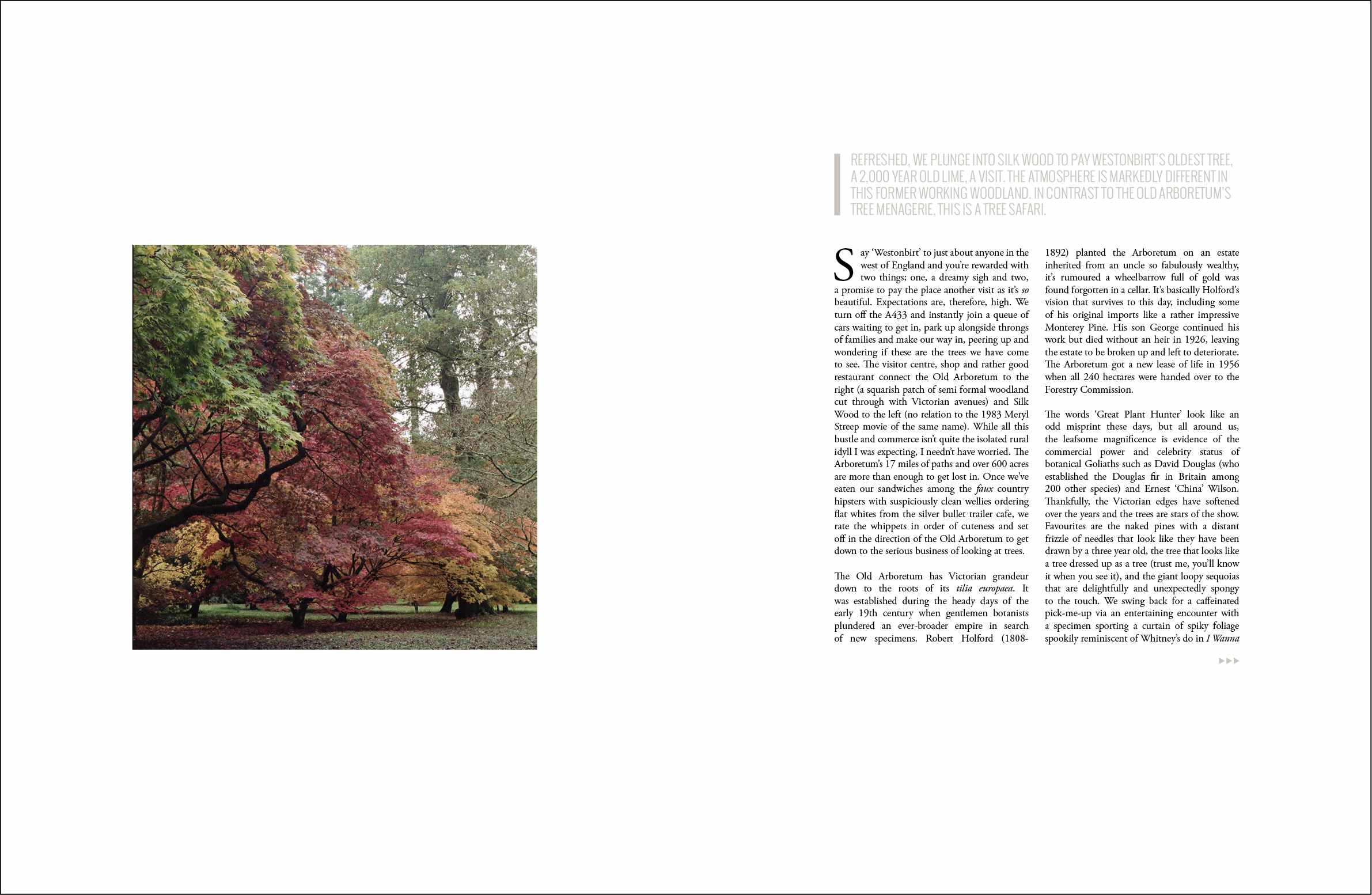 CEREAL_VOLUME1_SPREADS32.jpg