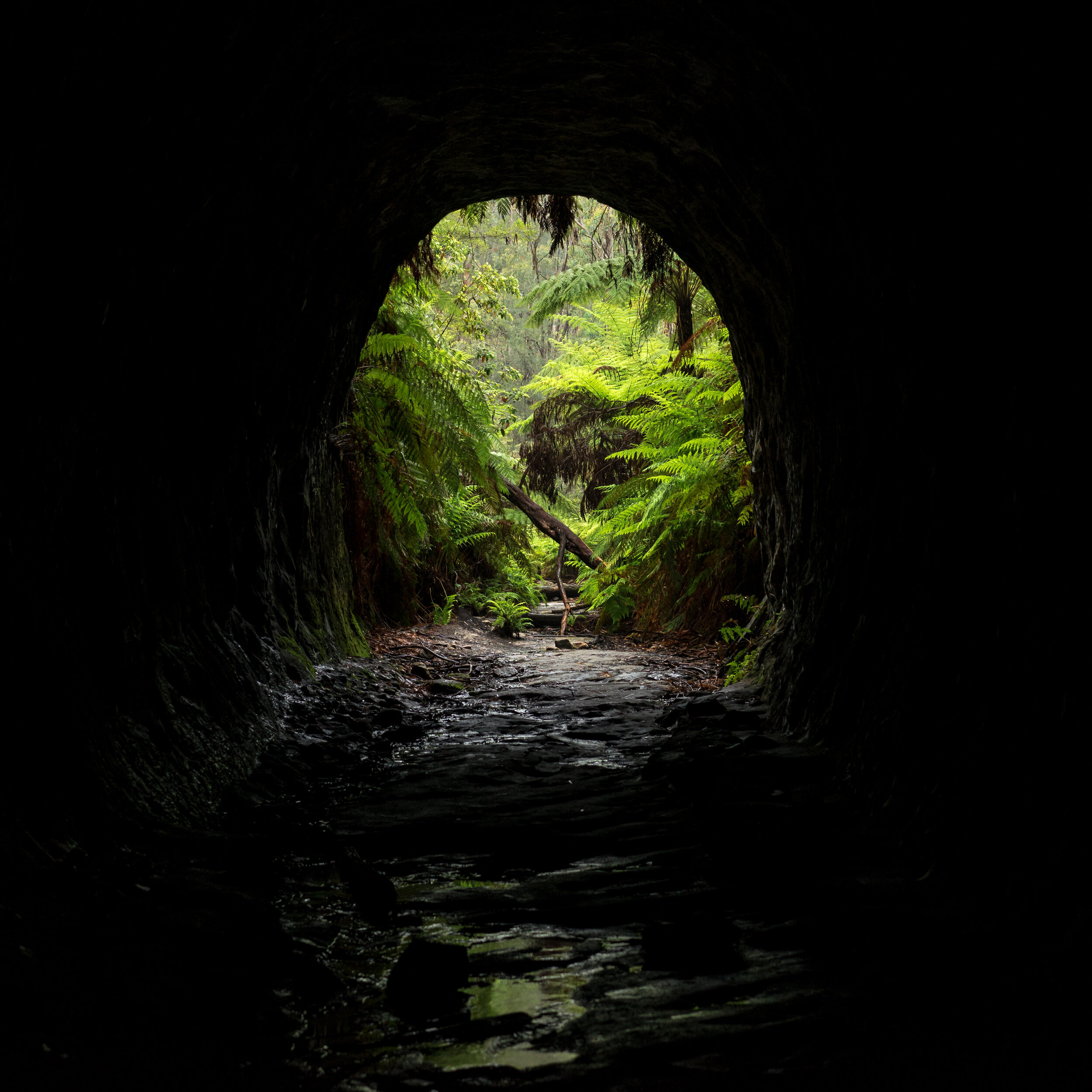 20181214-1409 Australia 06694.jpg