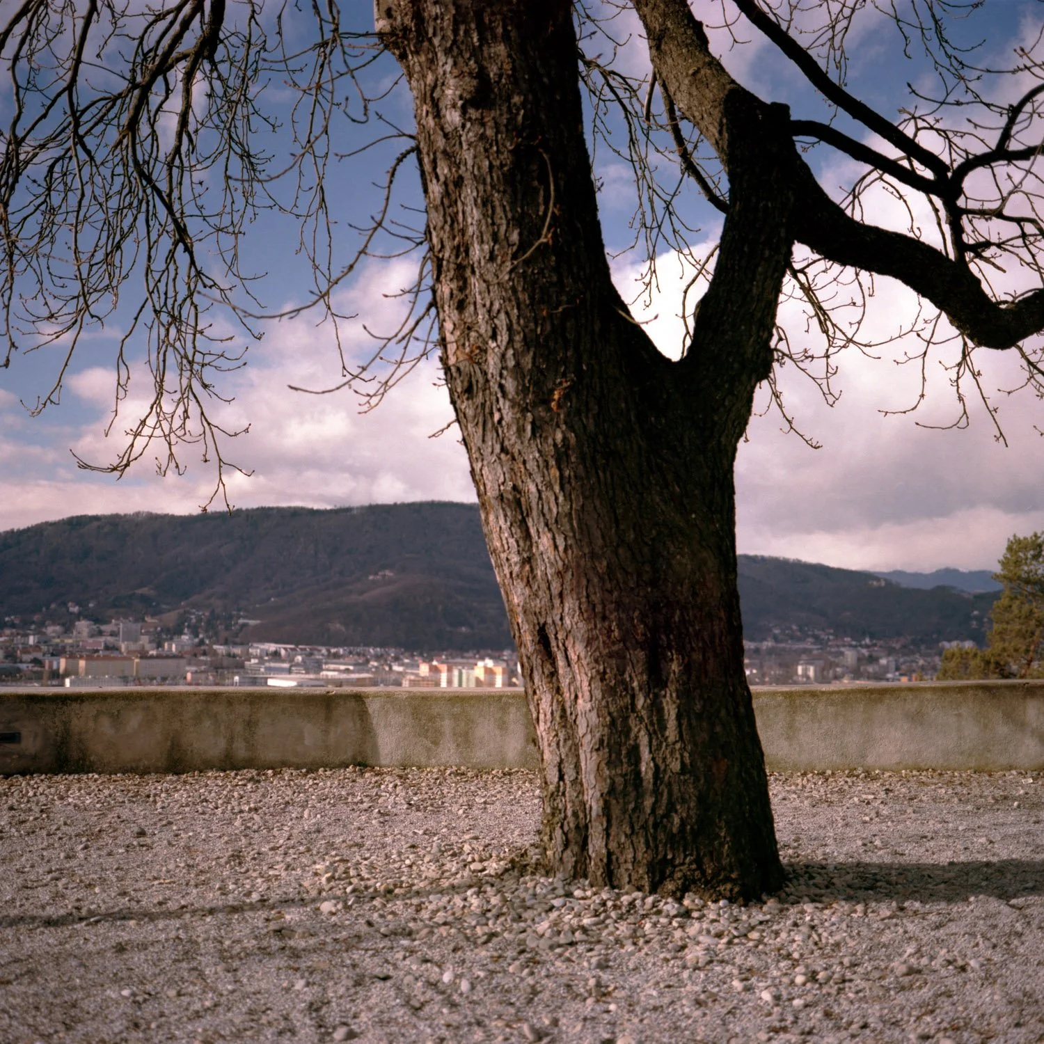 2012_analog_092.jpg