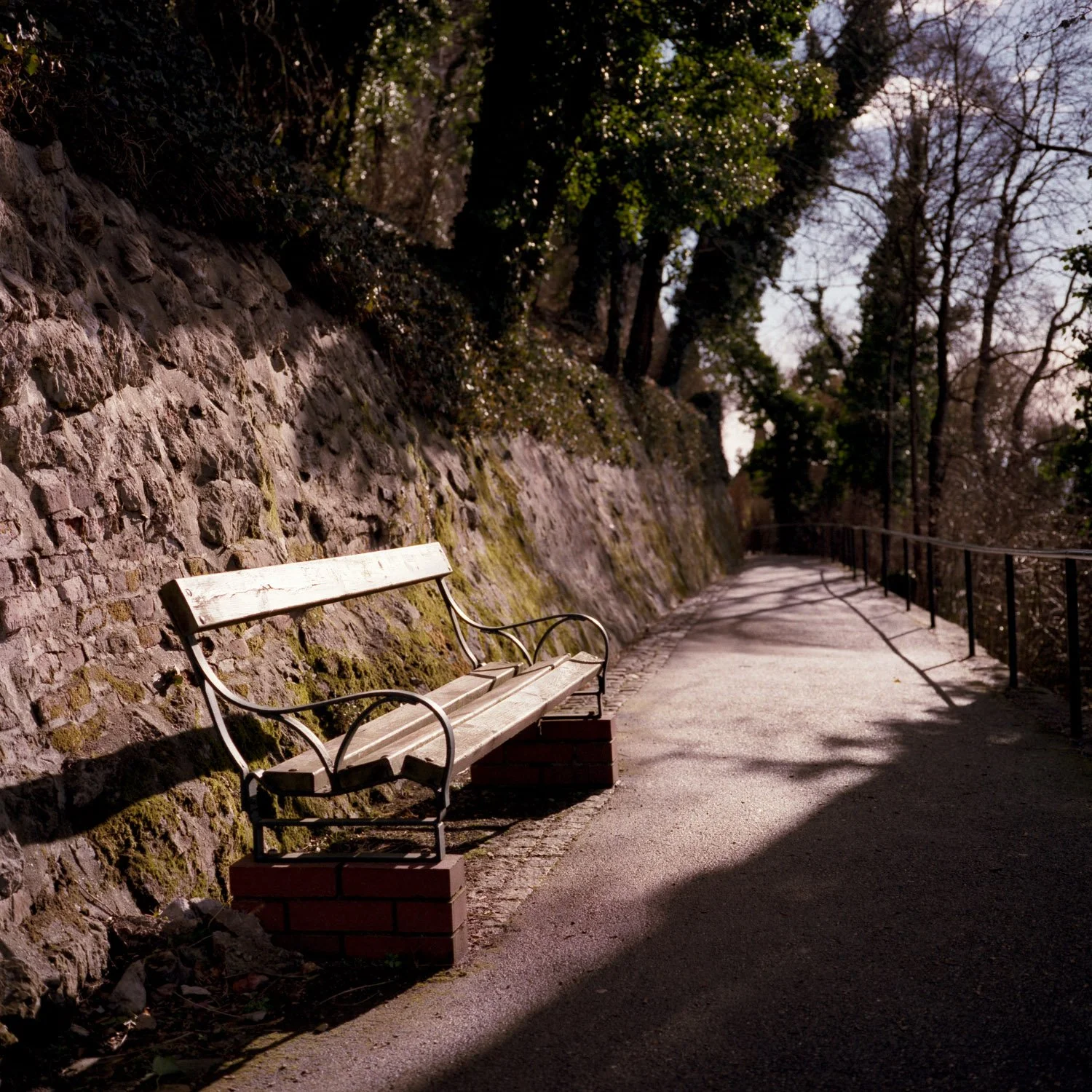 2012_analog_102.jpg