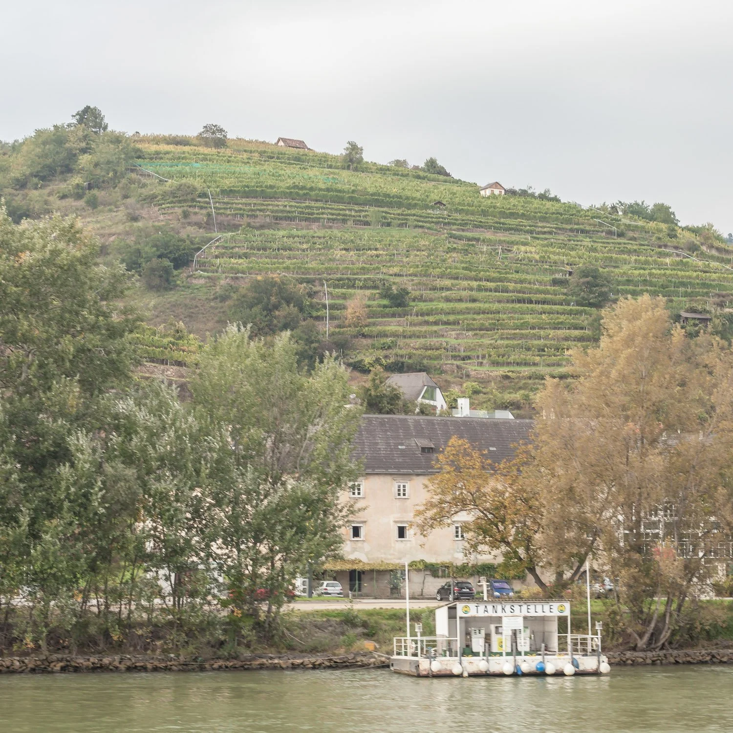 wachau_003.jpg