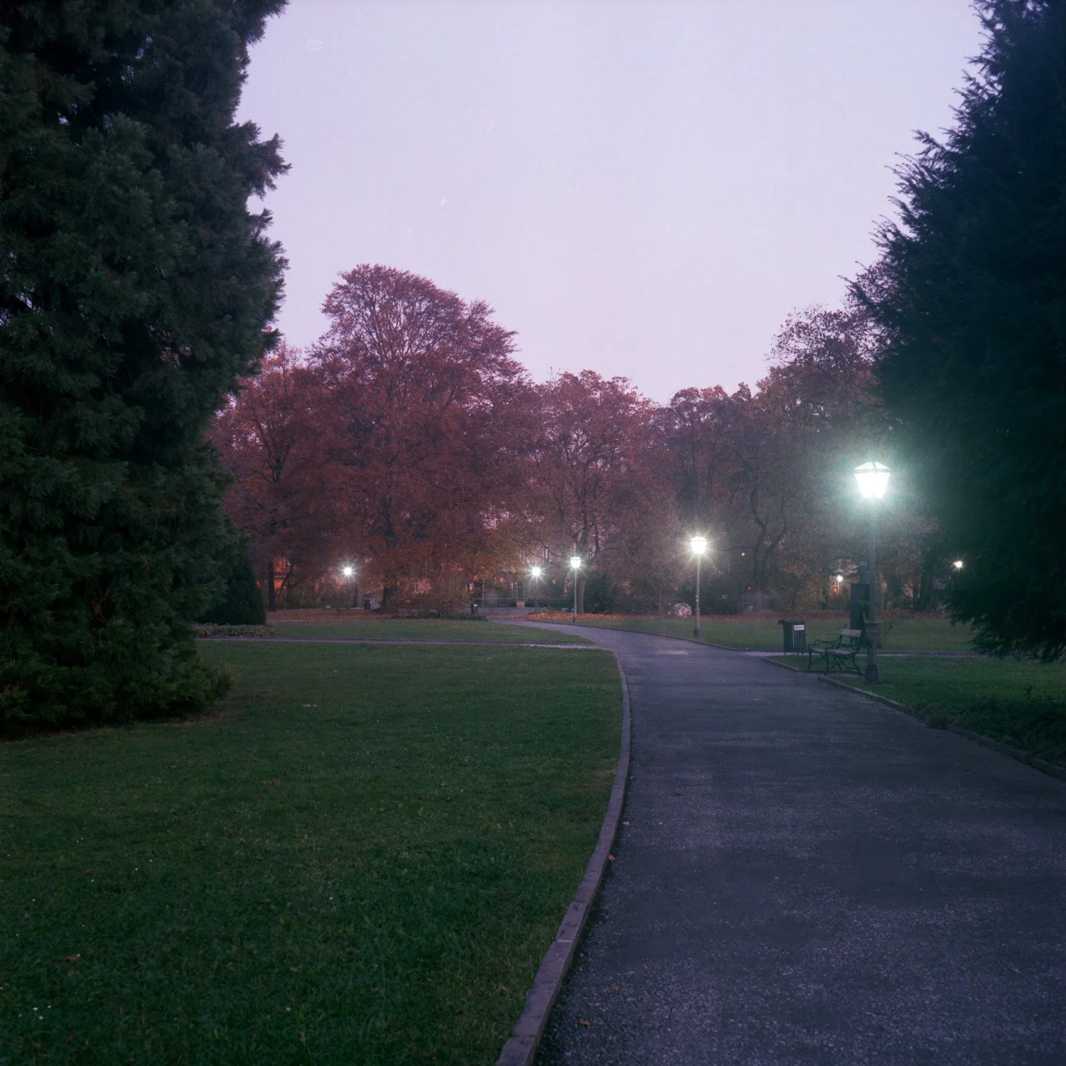 2011_analog_101.jpg
