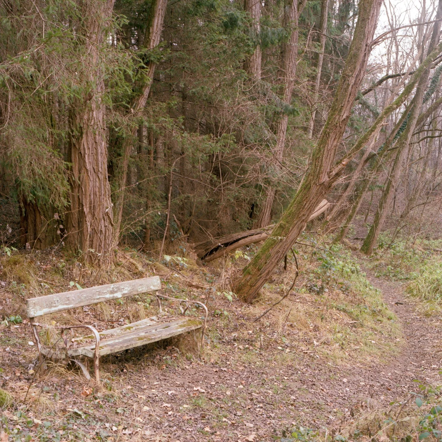 2011_analog_138.jpg