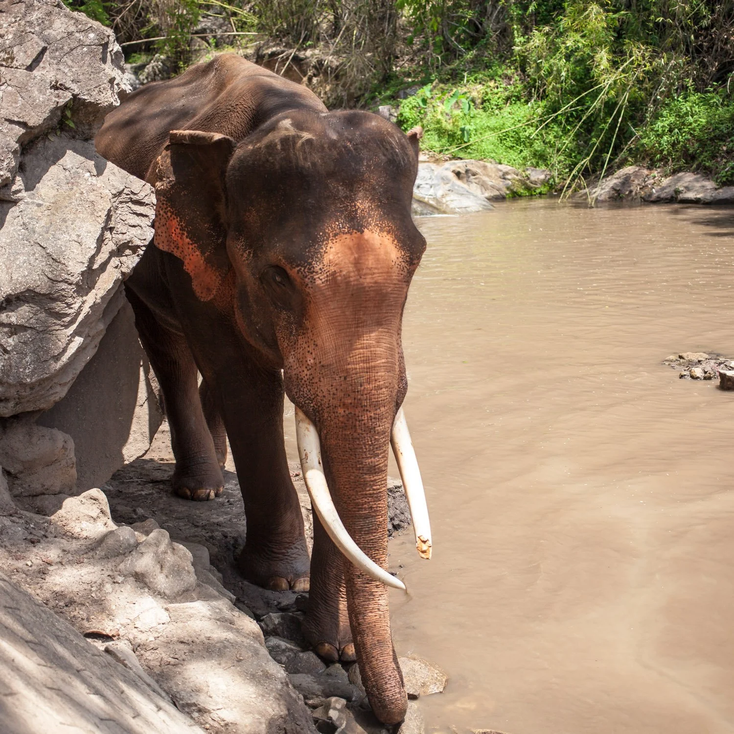 northern_thailand_025.jpg