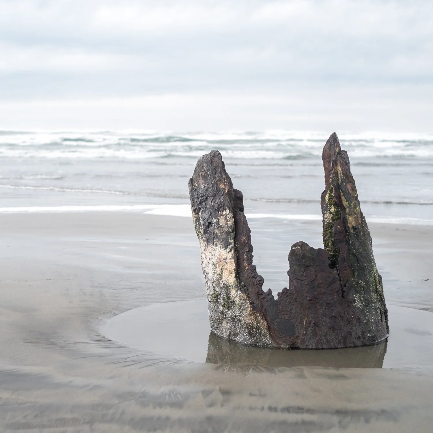 oregon_coast_004.jpg