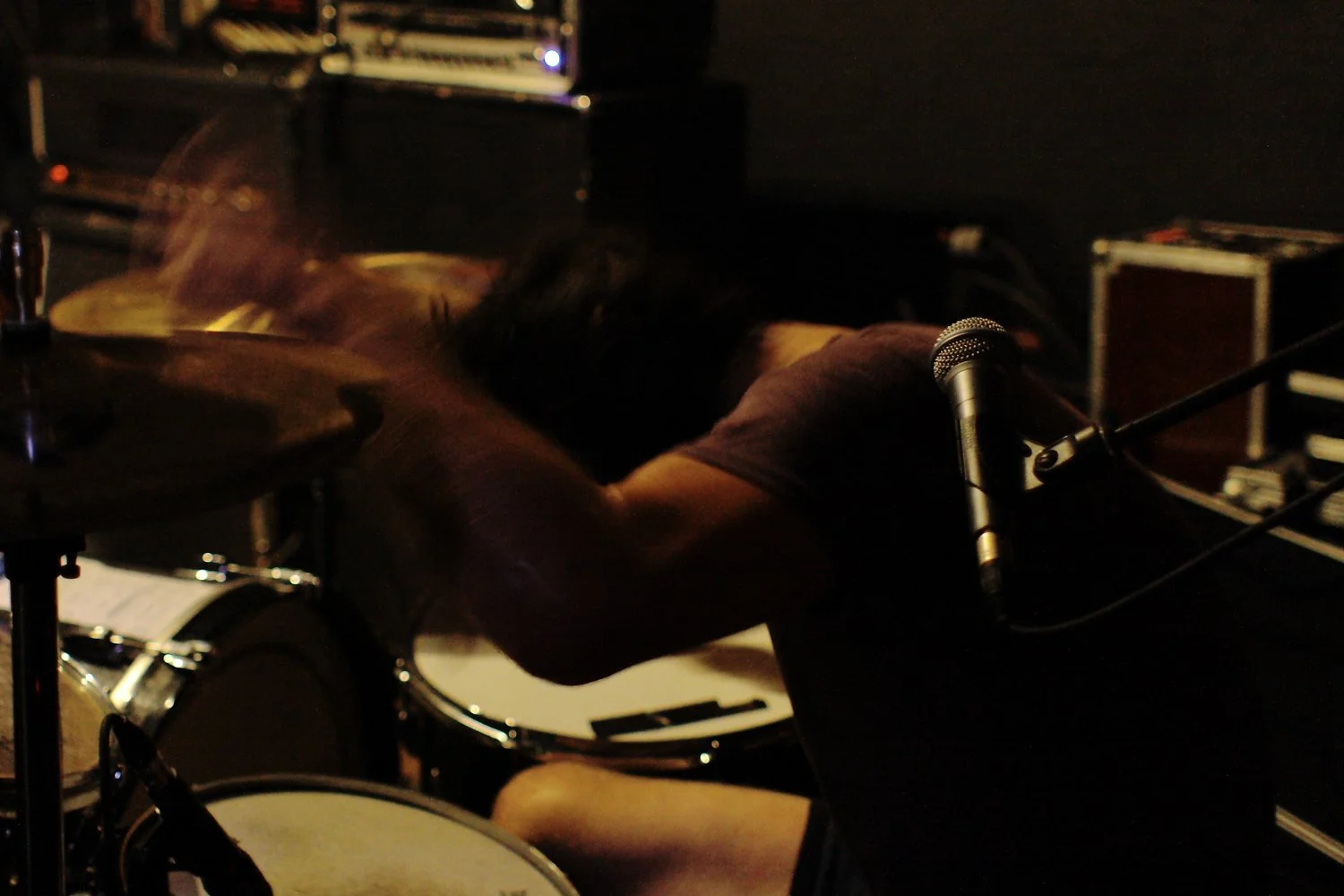 tweak_bird_2010_0076.jpg