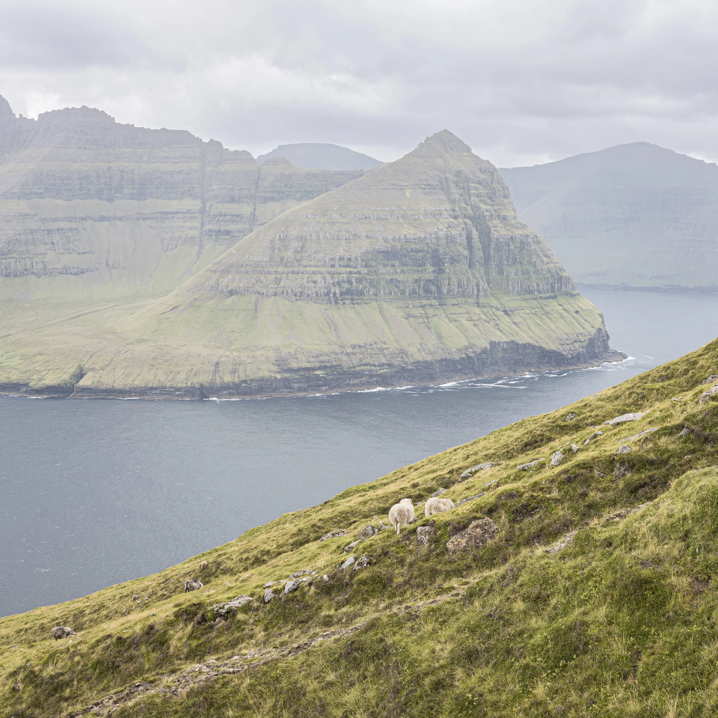 faroe_islands_010.jpg