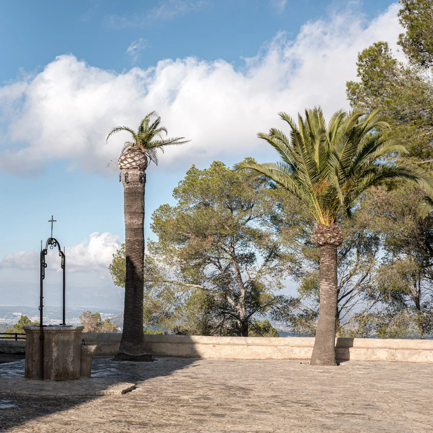 mallorca_025.jpg