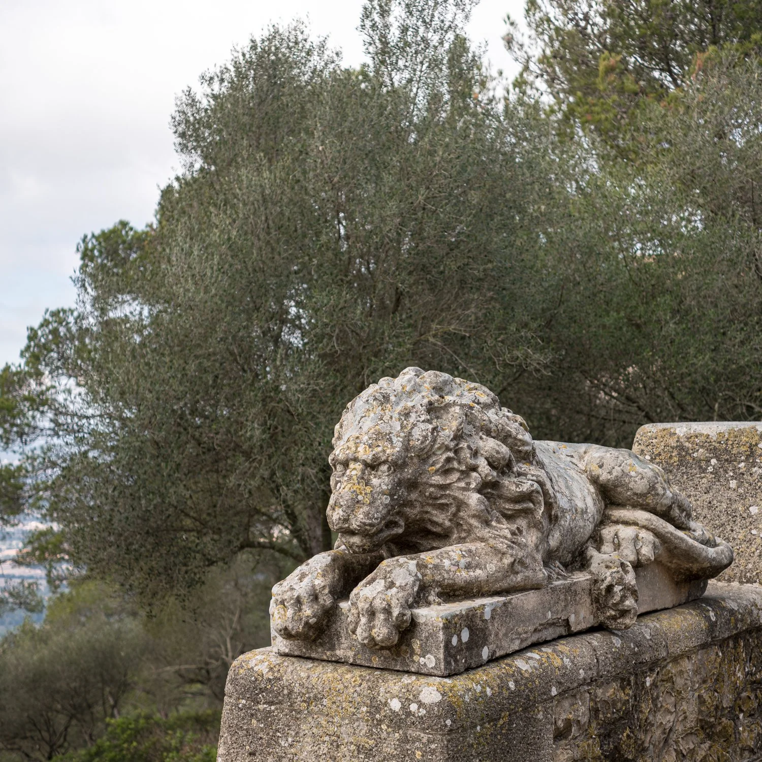 mallorca_036.jpg
