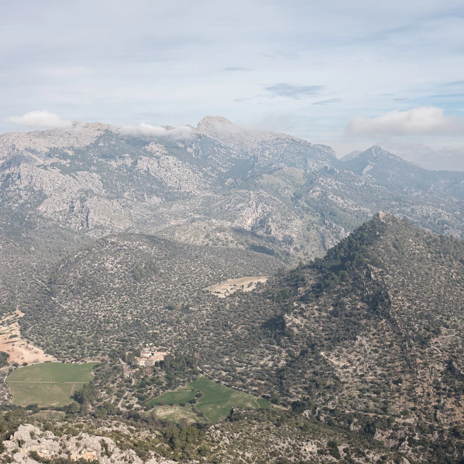 mallorca_037.jpg