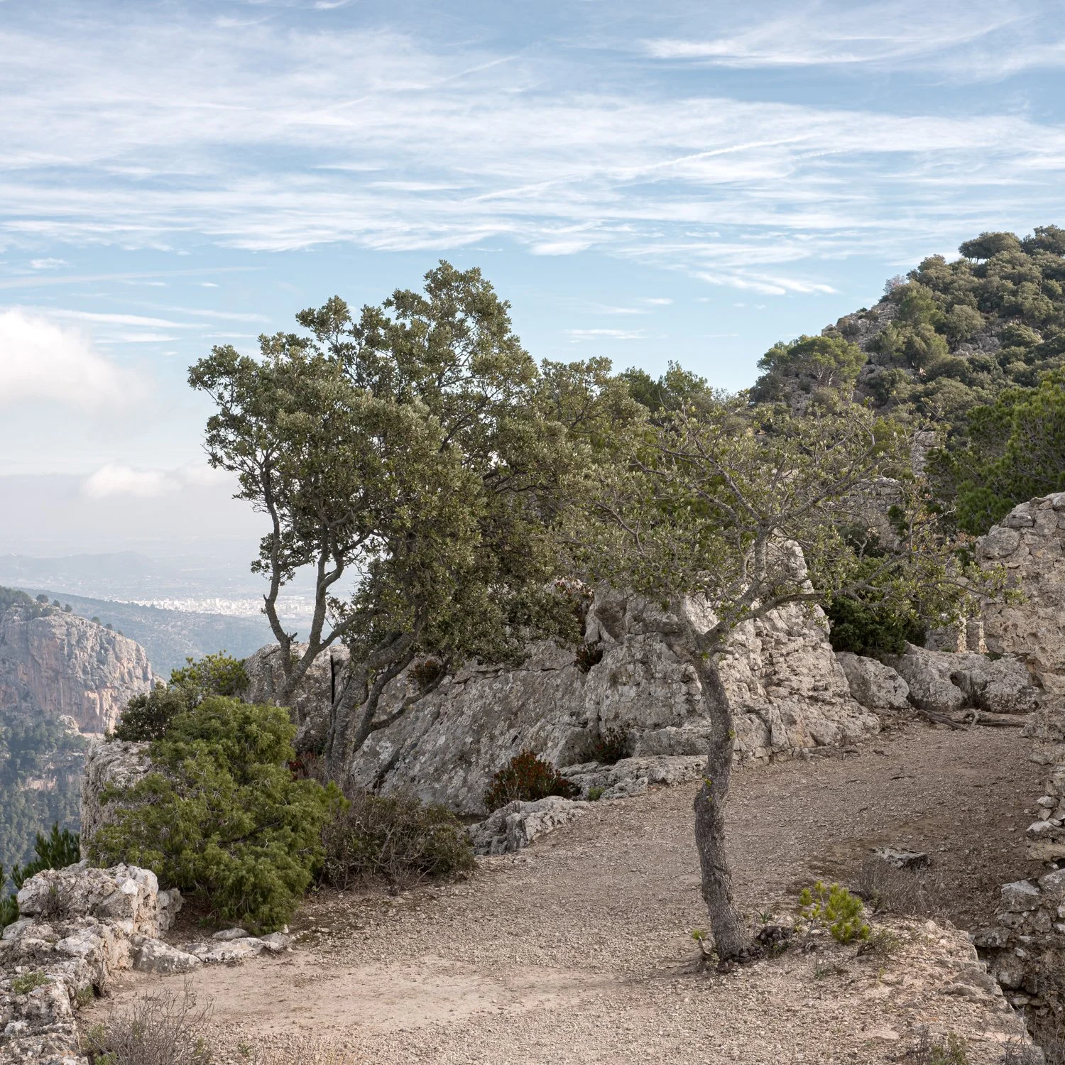 mallorca_039.jpg