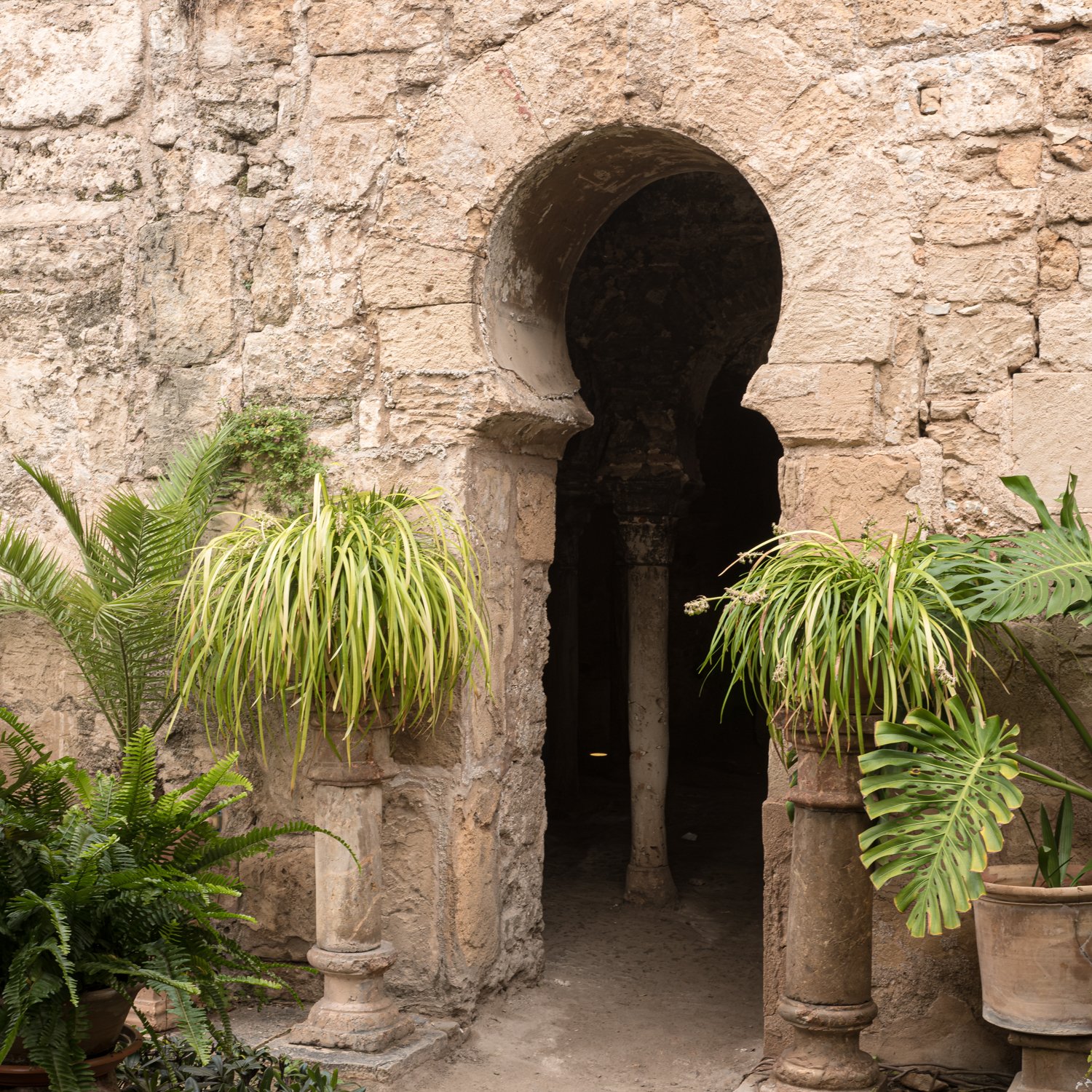mallorca_046.jpg
