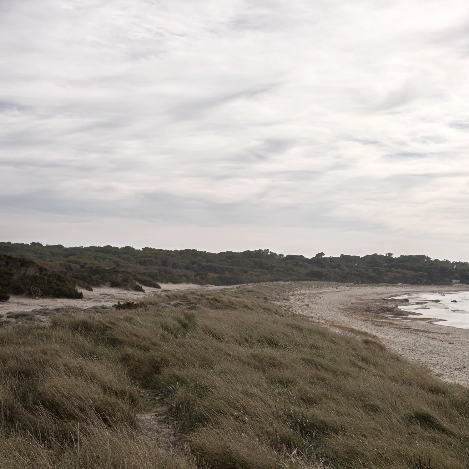 mallorca_065.jpg