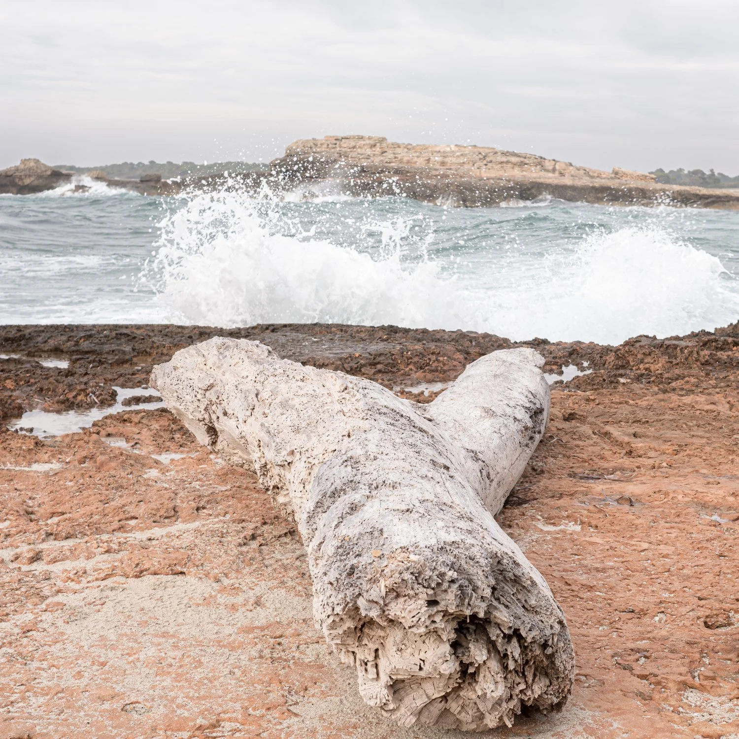 mallorca_066.jpg