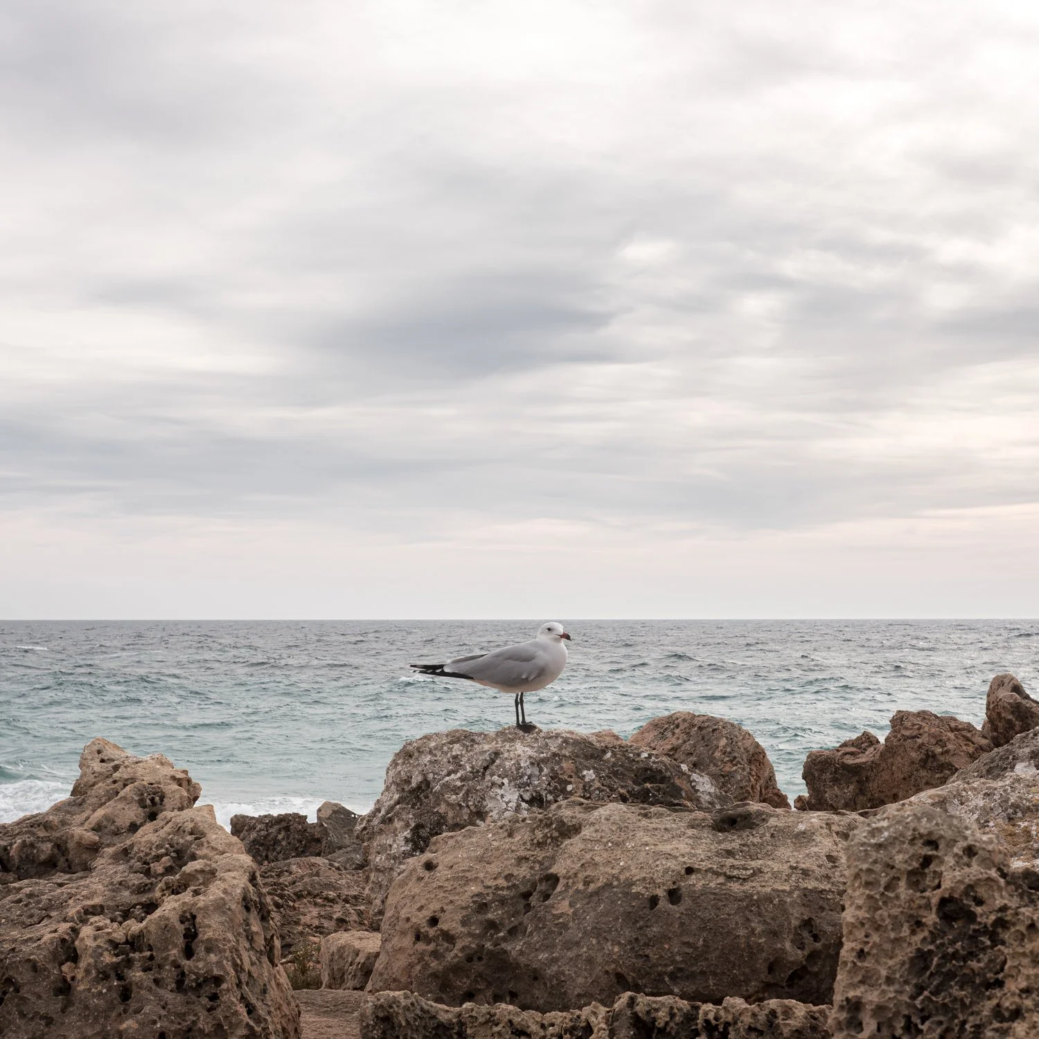 mallorca_068.jpg