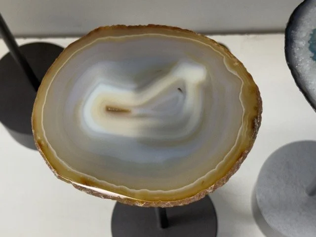 IMG_1997 Medium.jpeg