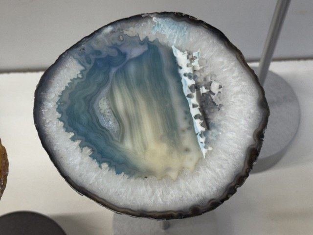 IMG_1998 Medium.jpeg