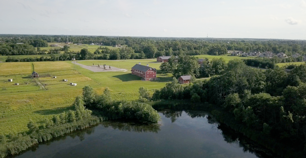 Salomon Farm Park