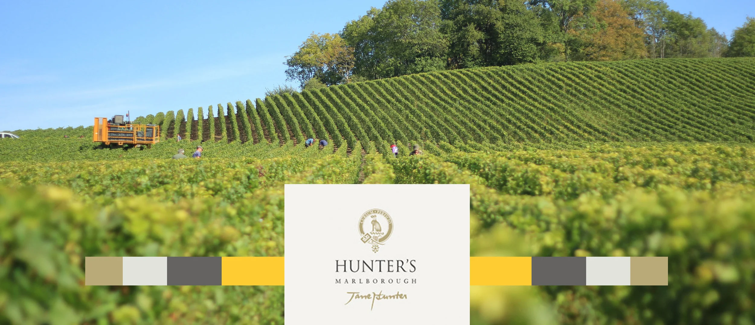 Hunter's Wine Shop