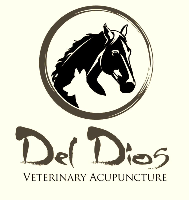 Del Dios Veterinary Acupuncture