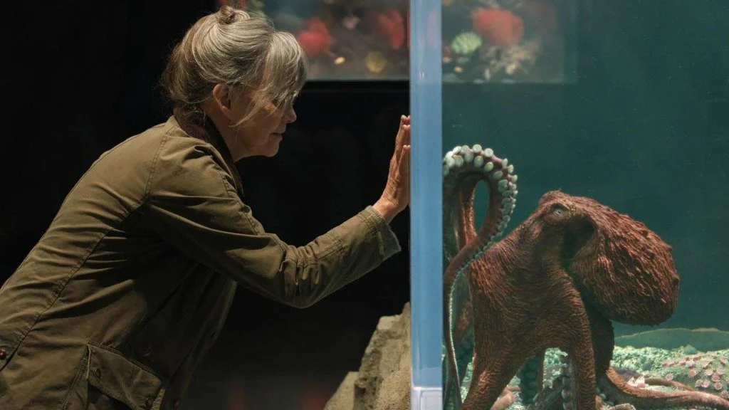 Wisdom evades unintentionally funny ‘Remarkably Bright Creatures’