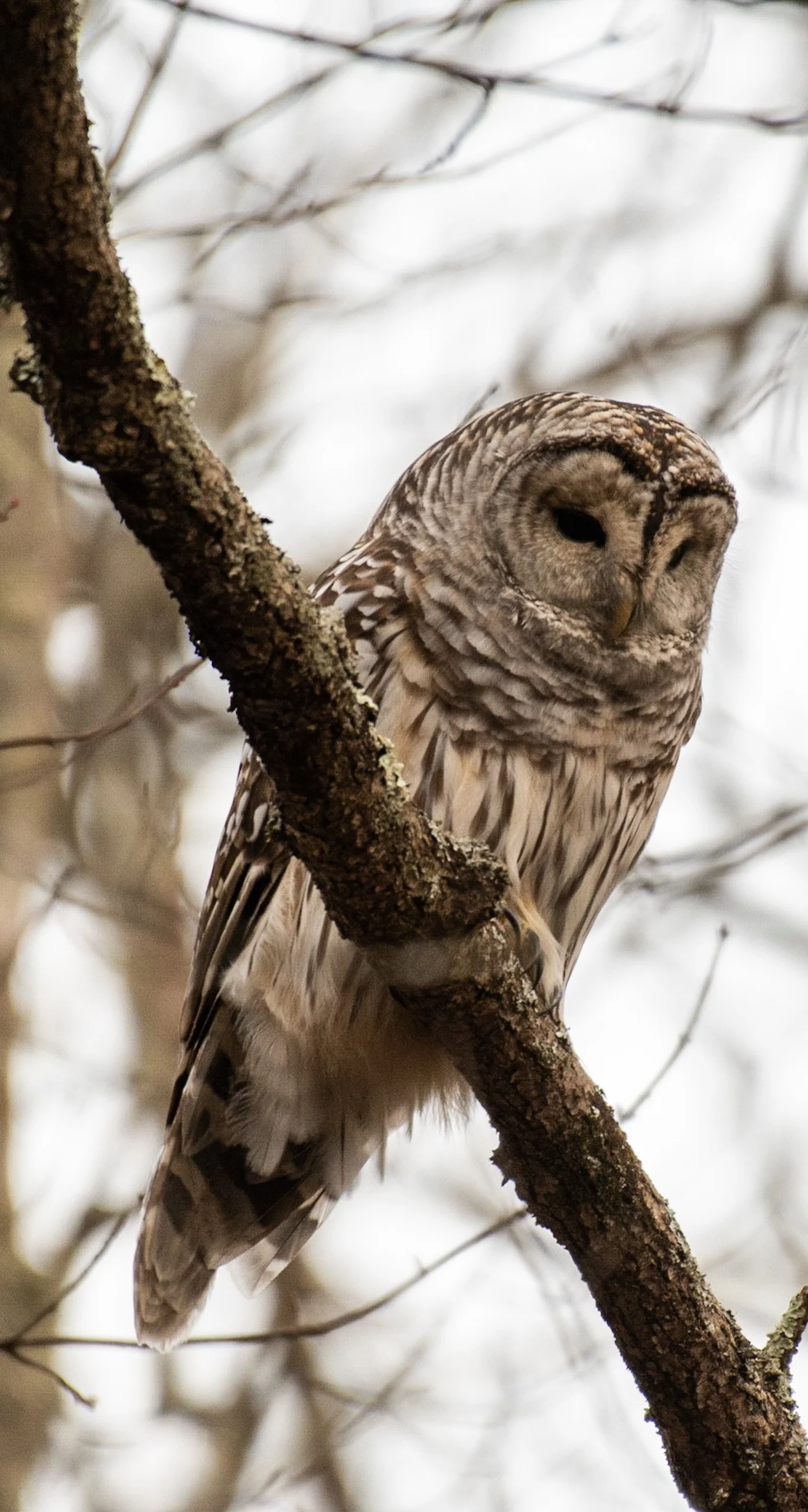 DSC_3651.jpg