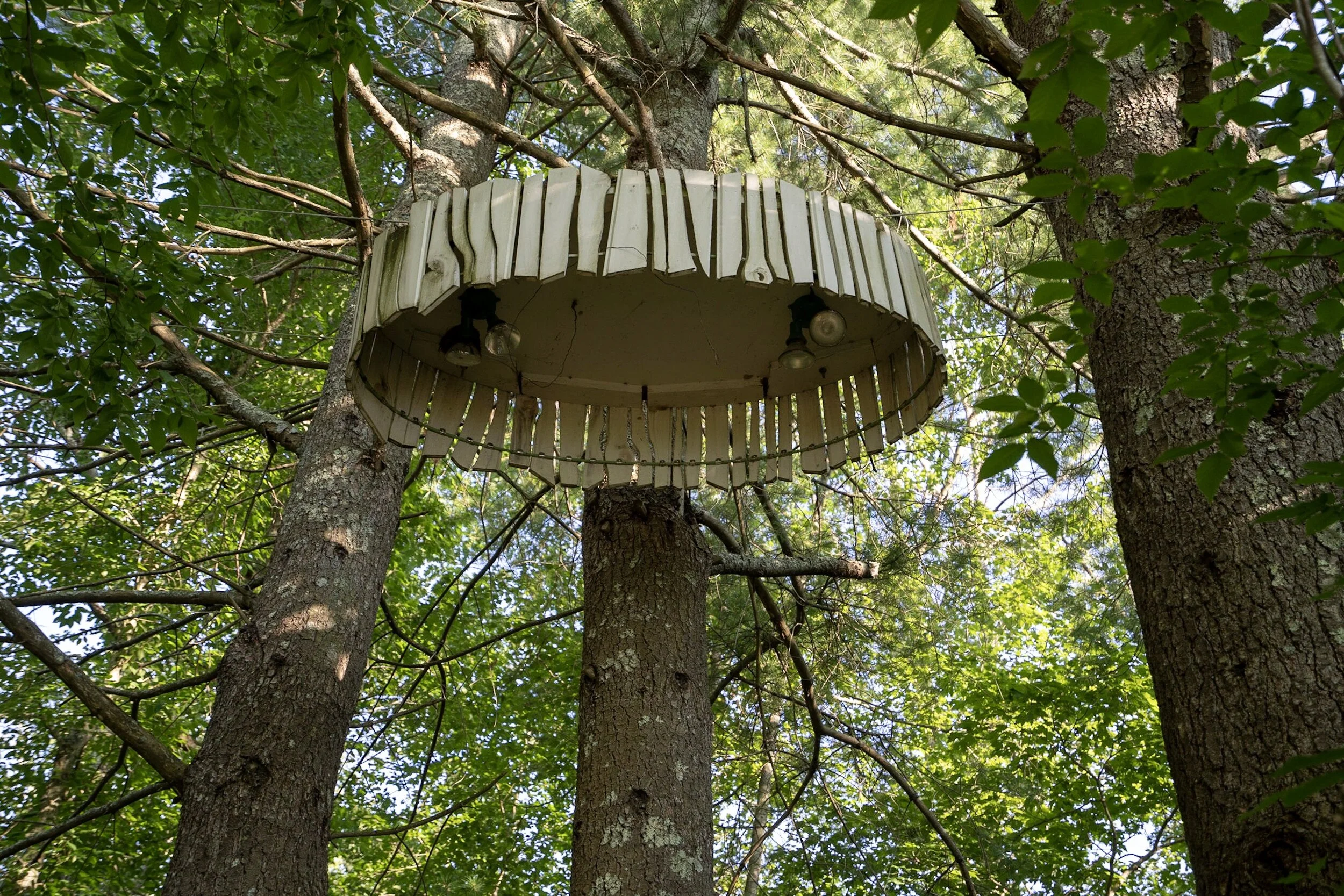 photo jul 08, 6 29 32 pm.JPG