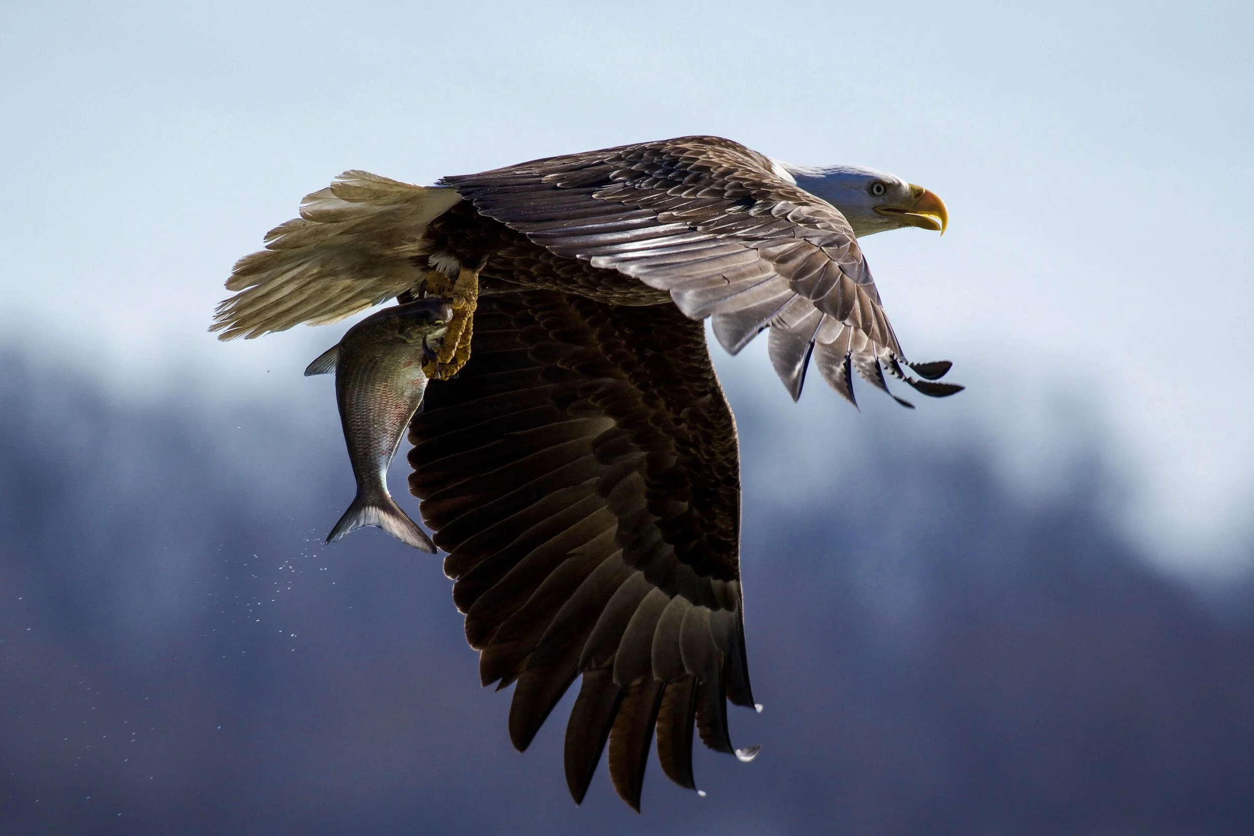 DSC_2878.JPG